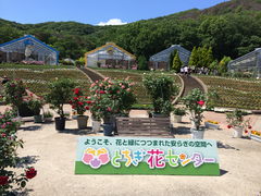 D310DA5B-A75B-4600-ADA1-223ED64F6231.jpg