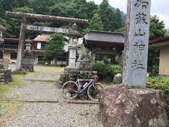 IMG_2320_20140621-151443.jpg